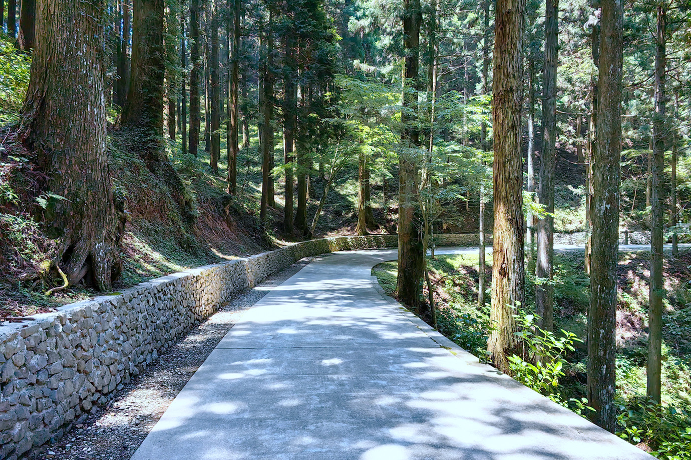 四國遍路-巨鼇山雲邊寺